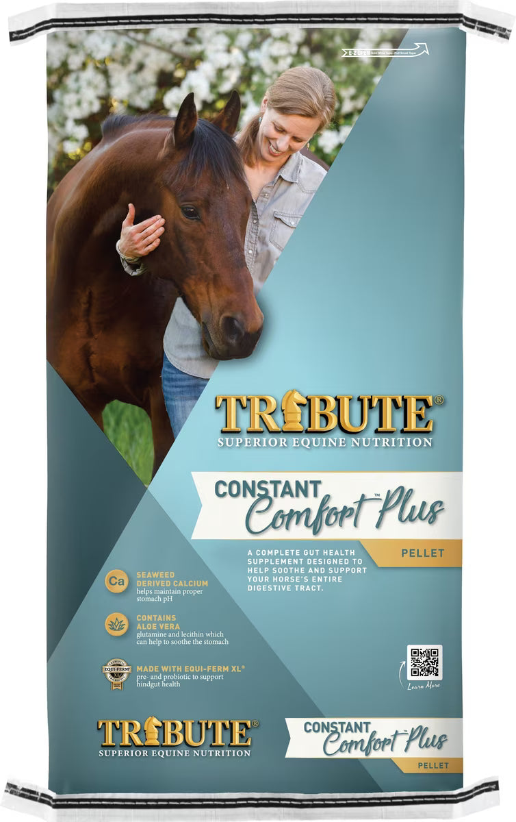 Tribute Constant Comfort Plus