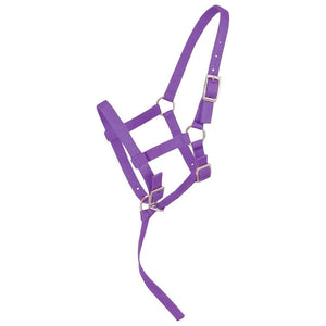 Weanling/Foal Halter