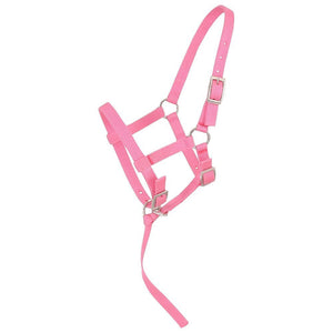 Weanling/Foal Halter