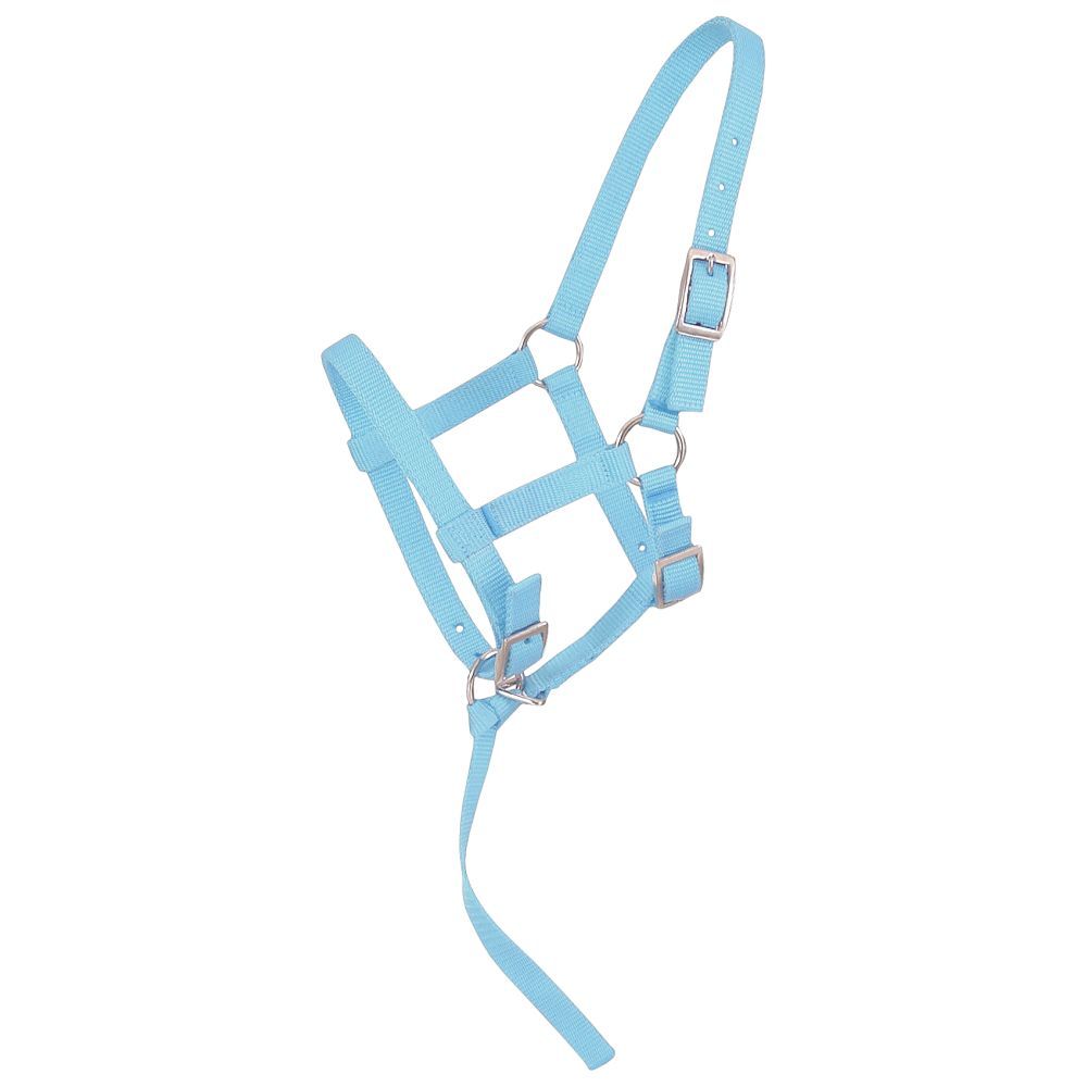 Weanling/Foal Halter