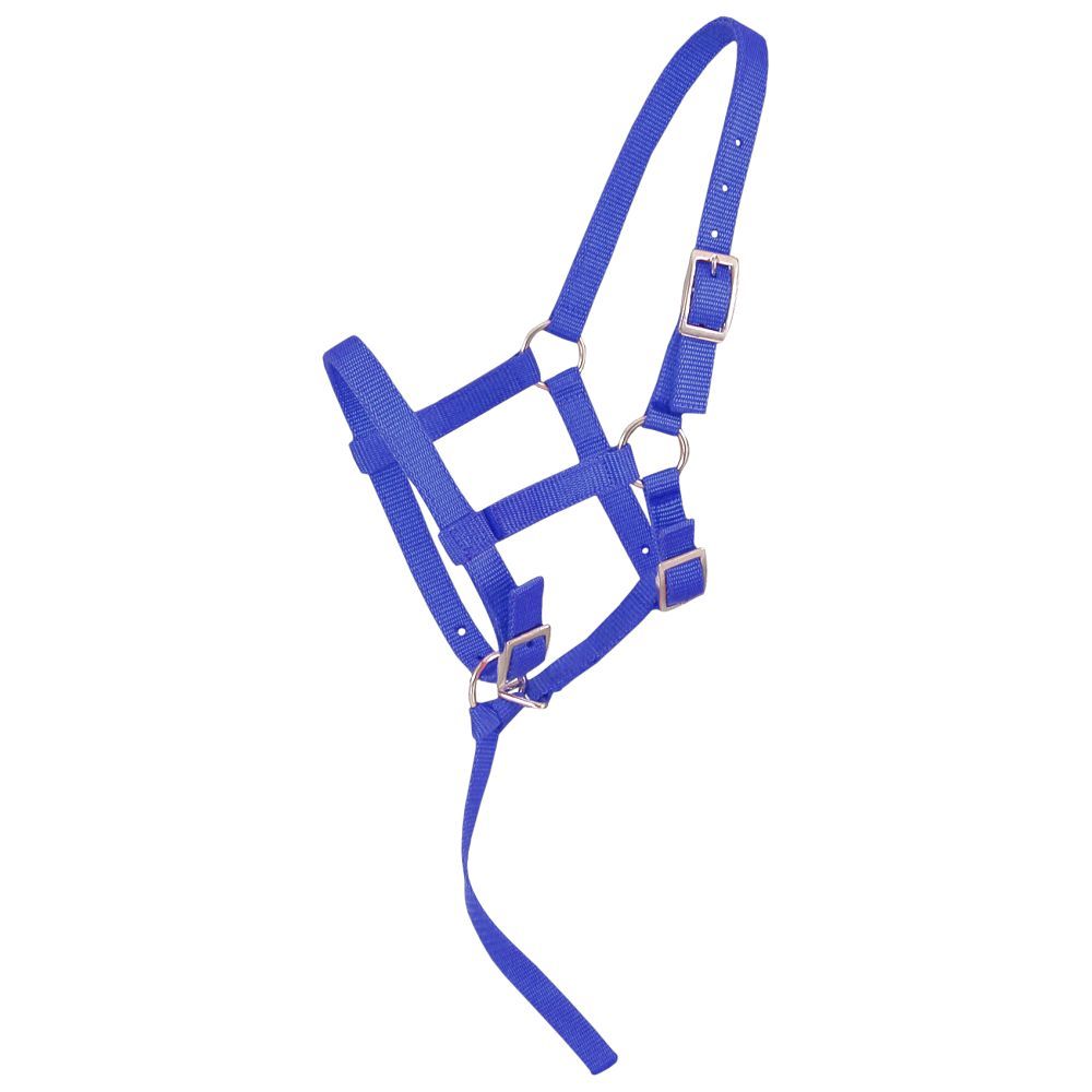 Weanling/Foal Halter