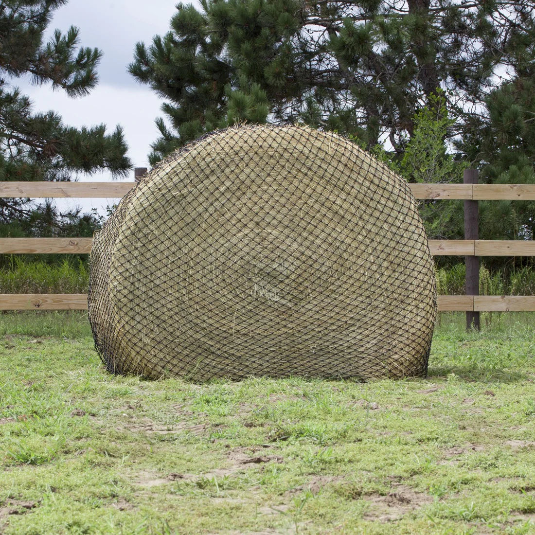 Hay Chix® Large Bale Net - Oat