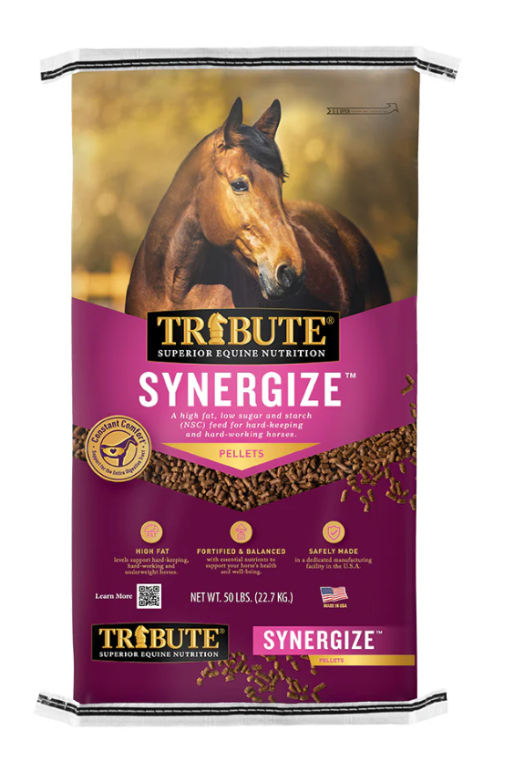 Tribute Synergize