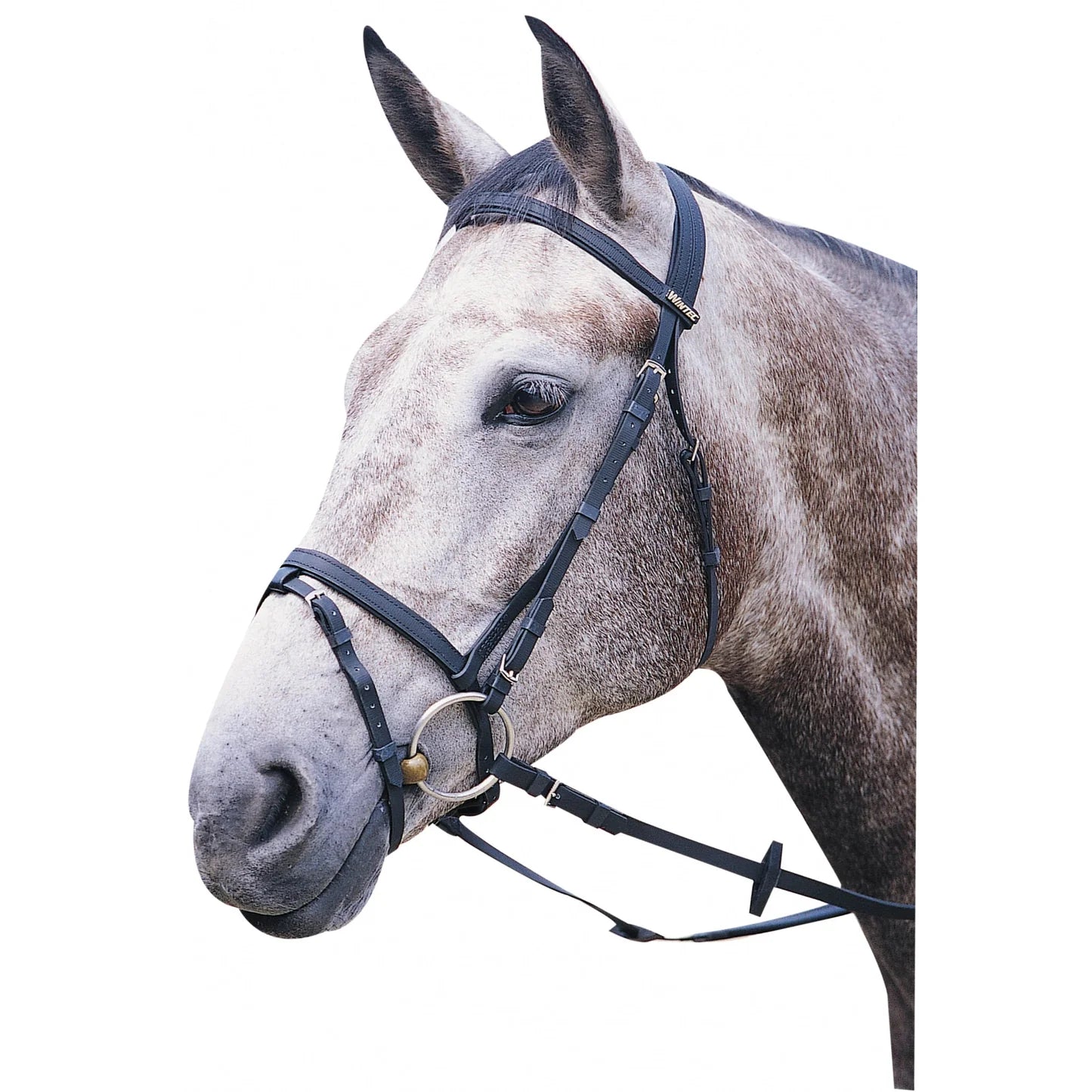 Wintec Bridle with Flash Blk Full