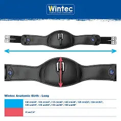 Wintec Anatomic Elastic Girth with CAIR blk 60cm/24