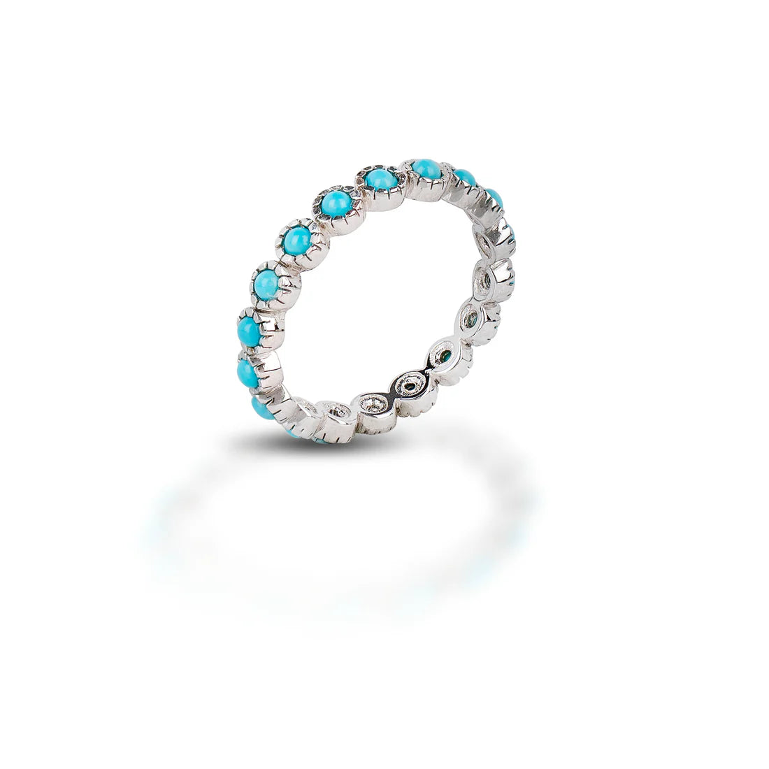 Sleeping Beauty Anniversary band
