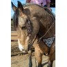 Cattle Drive Headstall & Breast Collar Set