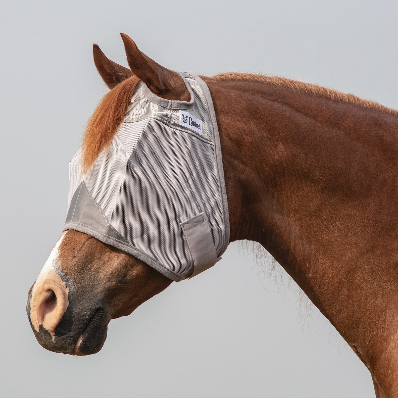 Fly Mask- Draft
