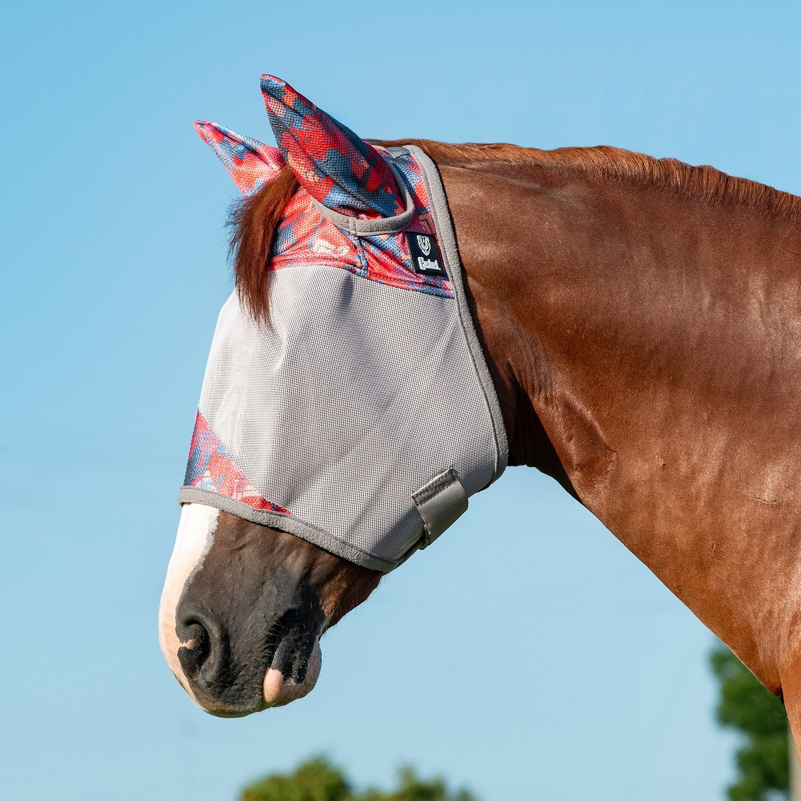 Fly Mask W/Ears Horse