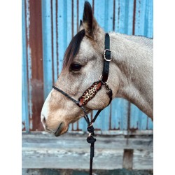 Lariat Nose Halter