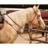 Ponderosa Headstall & Fringe Breast Collar