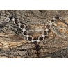 Copper Ring Breast Collar
