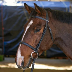 Wintec Bridle Full