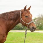 Flat Braid Halter W/9'Lead