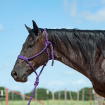 Flat Braid Halter W/9'Lead