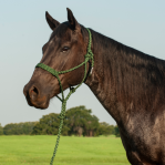 Flat Braid Halter W/9'Lead