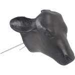 Calf Head