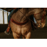 Wyatt Earp Tripping Collar